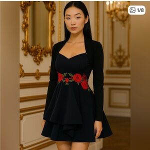 NWOT B. Smart Red Rose Embroidered dress